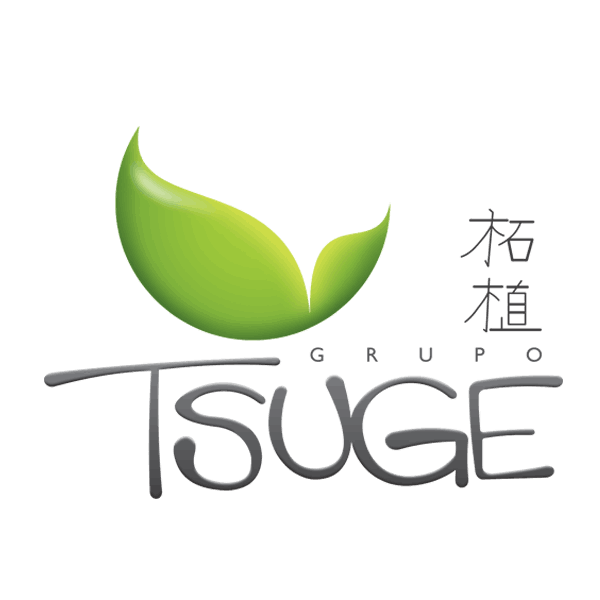 tsuge